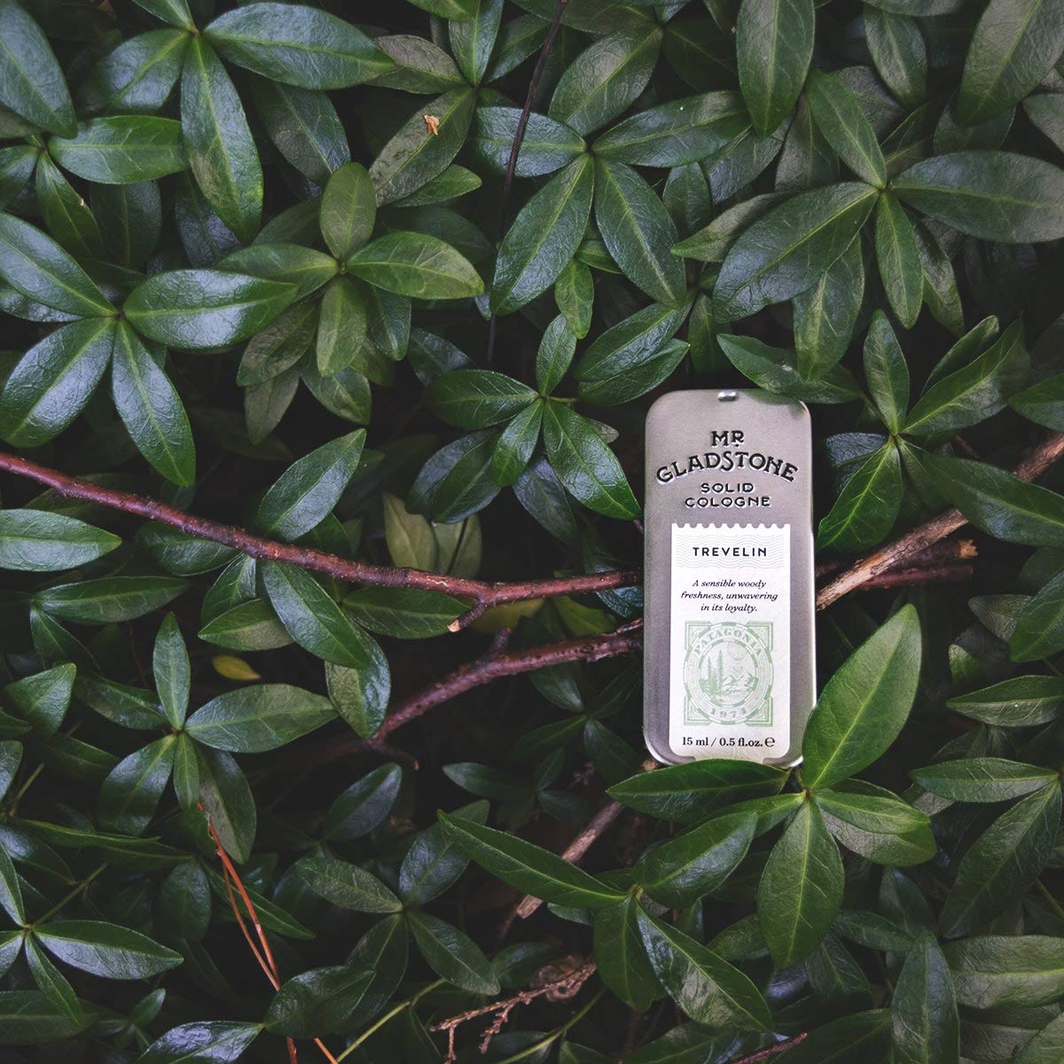 Trevelin: Mr. Gladstone Solid Cologne